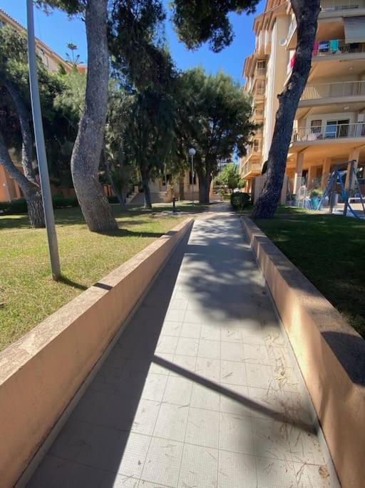 Primera Linea De Playa, Vistas Al Mar Benicàssim Eksteriør billede